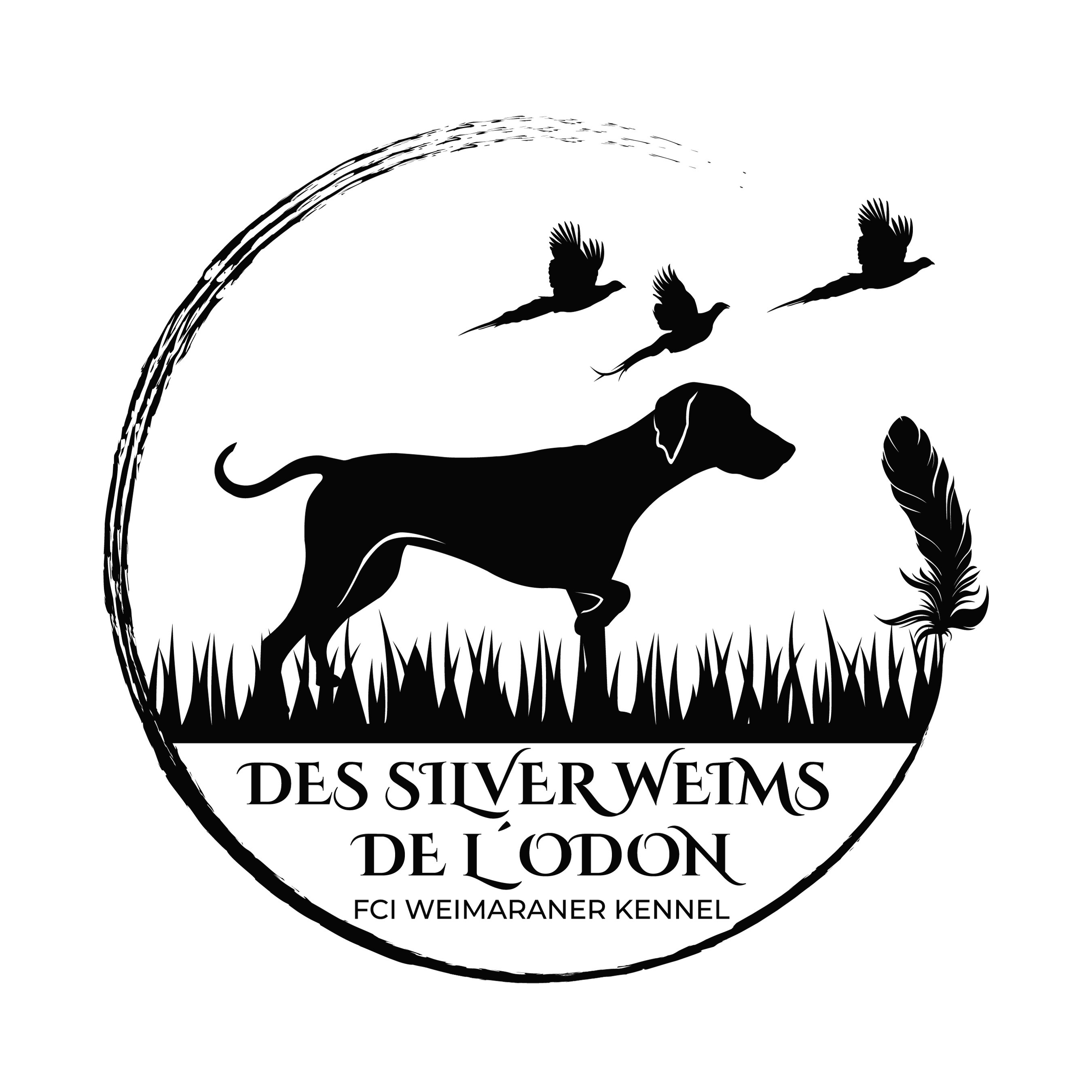 Des Silver Weims De L'Odon